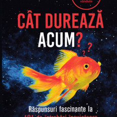 Cat dureaza acum - Frank Swain