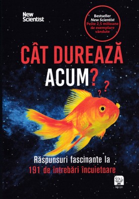 Cat dureaza acum - Frank Swain foto