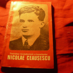 O.Matichescu - Tineretea revolutionara a tov. N.Ceausescu - Ed Tineretului 1981