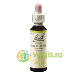 Bach 37 Wild Rose (Maces) Picaturi 20ml