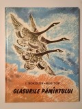 I. Sokolov-Mikitov - Glasurile păm&icirc;ntului păm&acirc;ntului (ilustrații de N. Cearușin; 1978)