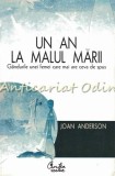 Cumpara ieftin Un An La Malul Marii - Joan Anderson