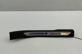 Ornament prag dreapta spate BMW X7 G07 2020 OEM: 8072244 31417660