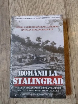 Romanii la Stalingrad foto