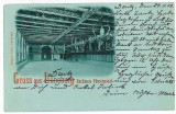 10055 - 5803 LUNEBURG, Sala trofeelor de vanatoare, Germania - old PC used 1904, Circulata, Printata