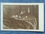 735. Eminescu, Atat de frageda/ Editura librariei Socec - nr 165 / necirculata