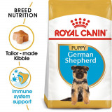 ROYAL CANIN GERMAN SHEPHERD JUNIOR 12 kg