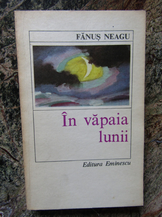 IN VAPAIA LUNII-FANUS NEAGU