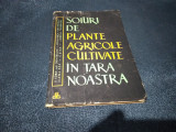 D TORJE - SOIURI DE PLANTE AGRICOLE CULTIVATE IN TARA NOASTRA