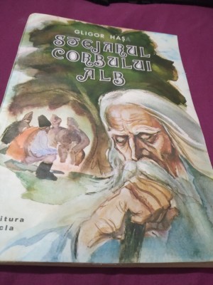 STEJARUL CORBULUI ALB GLIGOR HASI foto