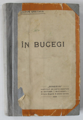 IN BUCEGI de NESTOR URECHIA , 1906 foto