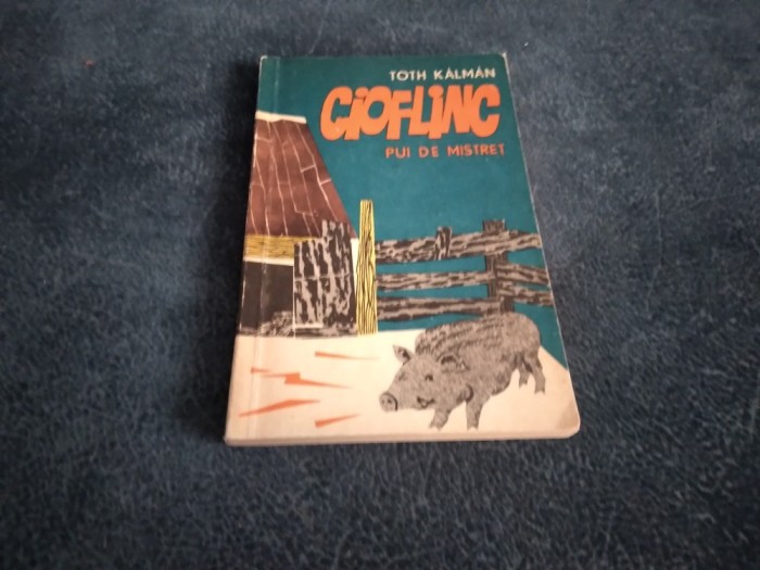 TOTH KALMAN - CIOFLINC PUI DE MISTRET