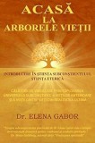 Acasa la Arborele Vietii - Altele