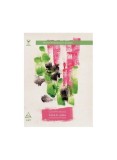 Podul de catifea - Paperback - Miłosz Czesław - Art