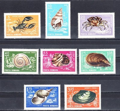 M1 TX5 4 - 1966 - Crustacee si moluste foto