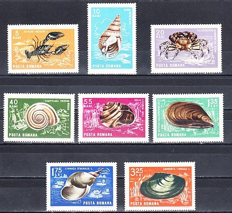 M1 TX5 4 - 1966 - Crustacee si moluste