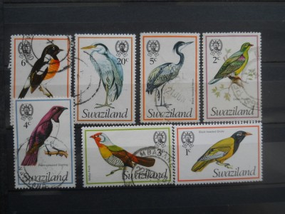 CN SWAZILAND PASARI foto