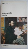 Saloanele Mele - Emile Zola - Studii Literare, Critica Literara