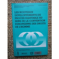 Les Nouveaux d&eacute;veloppements du proc&egrave;s &eacute;quitable au sens de la convention europ&eacute;enne des droits de l&#039;homme