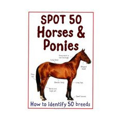 Spot 50 Horses Ponies