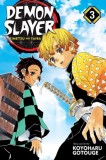 Demon Slayer: Kimetsu no Yaiba Vol. 3, SAS Gardners EU