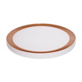Plafoniera Smart Gold Ring 36W 3000K-6500K IP20, PULSAR