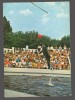 CPIB 19635 CARTE POSTALA - CONSTANTA. DELFINARIU. ASPECT DIN SPECTACOL, Necirculata, Fotografie