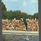CPIB 19635 CARTE POSTALA - CONSTANTA. DELFINARIU. ASPECT DIN SPECTACOL