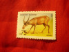 Serie Kazakstan 1992 - Fauna , 1 valoare, Nestampilat