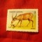 Serie Kazakstan 1992 - Fauna , 1 valoare