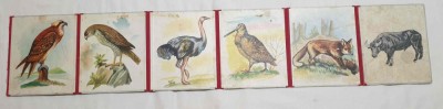 Animale, pasari domestice si Salbatice anii 1960 joc vechi de colectie Educativ foto