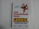 CUM FUNCTIONEAZA VIATA - ANDREW MATTHEWS