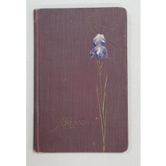 CAIET MANUSCRIS CU POEZII , INSEMNARI , SCRISORI , CARTI DE VIZITA , SCRISORI OFICIALE , DIN PERIOADA 1916 - 1918 , APARTINAND LUI DIONISIE LUPES ,