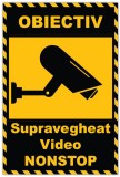 Placuta cu video non-stop