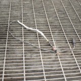 Senzor de temperatură AUDI Q7 4M 2017 OEM: 059906088CP 10645581