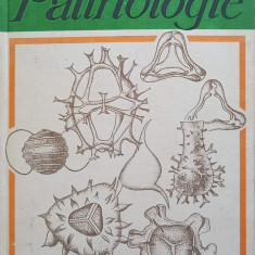 PALINOLOGIE-J. PETRESCU, O. DRAGASTAN, L. OLARU
