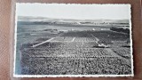 Fotografie tip Carte postala, Pepiniera Dezmir Cluj, perioada interbelica
