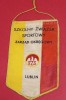 Fanion Sportiv - CONSILIUL RAIONAL al ASOCIAȚIEI SPORTIVE SCOLARE - LUBLIN