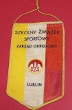 Fanion Sportiv - CONSILIUL RAIONAL al ASOCIAȚIEI SPORTIVE SCOLARE - LUBLIN