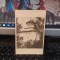 Mănăstirea Horezu, Bolnița, Foto Ing. Stelian Petrescu, circa 1925, 205