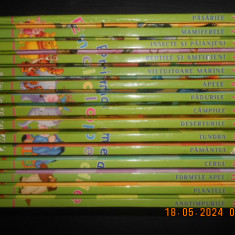 Prima mea enciclopedie cu Winnie Ursuletul si prietenii sai 15 volume