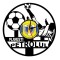 F.C. PETROLUL PLOIESTI - ceas de perete