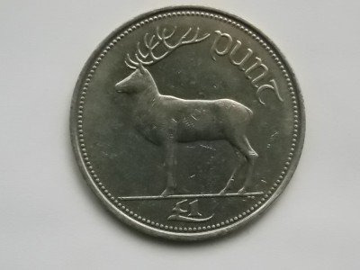 1 PUNT 1994 IRLANDA foto