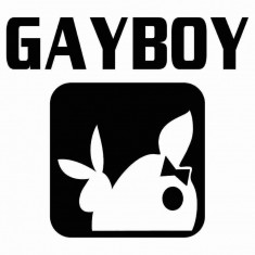 Sticker Auto Gayboy foto