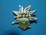 INSIGNA GERMANIA/ FLOAREA DE COLT-UNTERJOCH