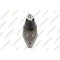 Pivot brat suspensie Mitsubishi Pajero 4 (V8 W, Pajero 4 Van (V9 , Punte Spate, Stanga=Dreapta, superior; TEKNOROT