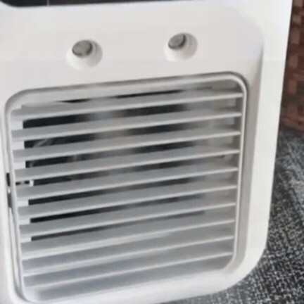 Ventilator Portabil 2&icirc;n1