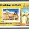Niger 1979 Space, overprint, perf. sheet, used P.015