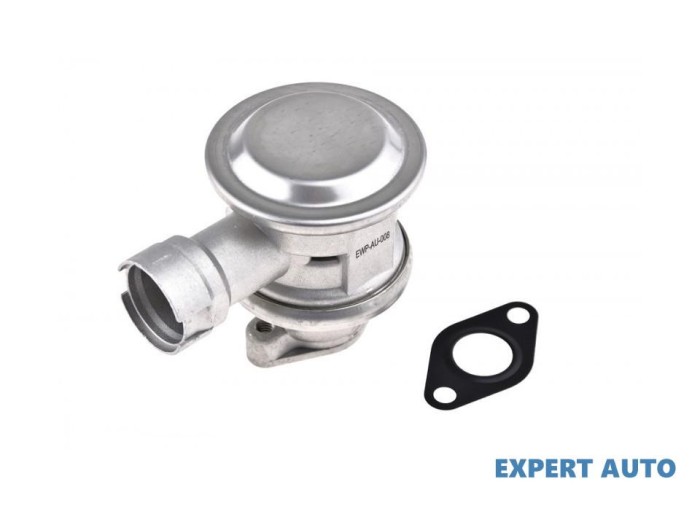 Supapa pompa sistem aer secundar Seat Leon 2 (2005-&gt;)[1P1] #1
