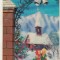 bnk cp Carte postala 3D - Felicitare - Japonia Wonder Co SSP-21